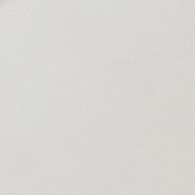 Расцветка Мягкие: Велюр Teddy 302 Жемчужный