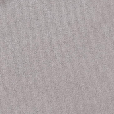 Расцветка Мягкие: Велюр Teddy 306 Лунный